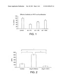 Therapeutic Uses Of Monoclonal Antibodies To The Angiotensin-II Type 1     Receptor diagram and image