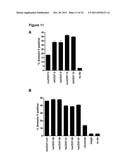 CD37-Binding Molecules and Immunoconjugates Thereof diagram and image