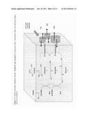 METHODS FOR ENHANCING IMMUNE RESPONSE diagram and image