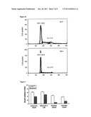 Use of 8-Quinolinol and its Analogs to Target Cancer Stem Cells diagram and image