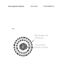 NON-PEGYLATED LIPOSOMAL DOXORUBICIN TRIPLE COMBINATION THERAPY diagram and image