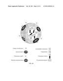 METHODS AND COMPOSITIONS FOR TARGETED DELIVERY diagram and image