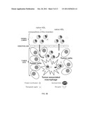 METHODS AND COMPOSITIONS FOR TARGETED DELIVERY diagram and image