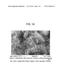 Masterbatch of carbon-based conductive fillers for liquid formulations,     especially in Li-Ion batterries diagram and image