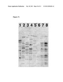 DETECTION OF HUMAN SOMATIC CELL REPROGRAMMING diagram and image