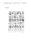 DETECTION OF HUMAN SOMATIC CELL REPROGRAMMING diagram and image