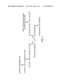 METHODS FOR THE DETECTION AND/OR QUANTIFICATION OF GRAM POSITIVE BACTERIAL     CONTAMINANTS diagram and image
