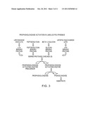 METHODS FOR THE DETECTION AND/OR QUANTIFICATION OF GRAM POSITIVE BACTERIAL     CONTAMINANTS diagram and image