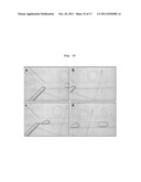 LC-MFR-MS-Based Method and Apparatus for Screening a New Drug Candidate diagram and image