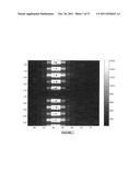 METHODS AND PROCESSES FOR CALLING BASES IN SEQUENCE BY INCORPORATION     METHODS diagram and image