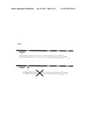 NUCLEIC ACID SEQUENCING diagram and image