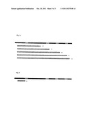 NUCLEIC ACID SEQUENCING diagram and image