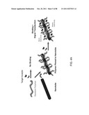 POLYMER-NANOSTRUCTURE COMPOSITION FOR SELECTIVE MOLECULAR RECOGNITION diagram and image