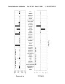 POLYMER-NANOSTRUCTURE COMPOSITION FOR SELECTIVE MOLECULAR RECOGNITION diagram and image