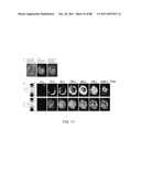 POLYMER-NANOSTRUCTURE COMPOSITION FOR SELECTIVE MOLECULAR RECOGNITION diagram and image