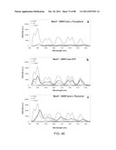 POLYMER-NANOSTRUCTURE COMPOSITION FOR SELECTIVE MOLECULAR RECOGNITION diagram and image