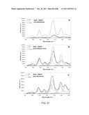 POLYMER-NANOSTRUCTURE COMPOSITION FOR SELECTIVE MOLECULAR RECOGNITION diagram and image