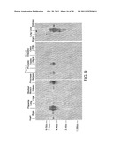 Methods and Compositions for the Diagnosis of Cancer Susceptibilities and     Defective DNA Repair Mechanisms and Treatment Thereof diagram and image