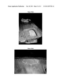 COMPOSITE REPAIR RESINS CONTAINING MINIMAL HAZARDOUS AIR POLLUTANTS AND     VOLATILE ORGANIC COMPOUND diagram and image