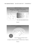 Multifunctional Degradable Nanoparticles with Control over Size and     Functionalities diagram and image