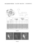 Multifunctional Degradable Nanoparticles with Control over Size and     Functionalities diagram and image