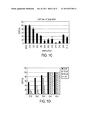 METHODS AND COMPOSITIONS FOR THE SPECIFIC INHIBITION OF GENE EXPRESSION BY     DOUBLE-STRANDED RNA diagram and image