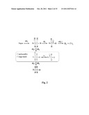 SYNTHESIS OF LIQUID FUELS AND CHEMICALS FROM OXYGENATED HYDROCARBONS diagram and image