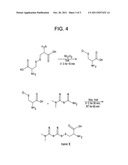 Metformin-Cysteine Prodrug diagram and image