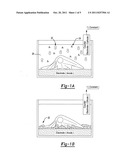 BIOLOGICALLY INTEGRATED ELECTRODE DEVICES diagram and image