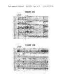 Patient-Specific Seizure Onset Detection System diagram and image