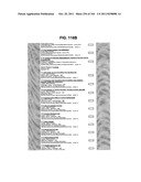 Metasearch Engine for Ordering Items Returned In Search Results Using     Multiple Queries on Multiple Unique Hosts diagram and image