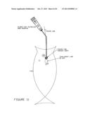 Geiboy s bait retriever/hook remover diagram and image