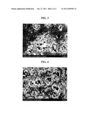 METHOD FOR MANUFACTURING SEPARATOR, SEPARATOR MANUFACTURED THEREFROM AND     METHOD FOR MANUFACTURING ELECTROCHEMICAL DEVICE HAVING THE SAME diagram and image