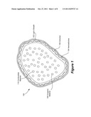 SYSTEMS, METHODS AND COMPOSITIONS RELATING TO COMBUSTIBLE BIOMATERIALS diagram and image