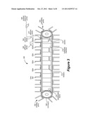 SYSTEMS, METHODS AND COMPOSITIONS RELATING TO COMBUSTIBLE BIOMATERIALS diagram and image