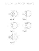 Section of a separation column, separation column and a method of     operation diagram and image