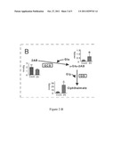 METHOD FOR DETERMINATION OF OXIDATIVE STRESS diagram and image