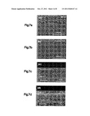 ORGANIC/INORGANIC HYBRID THIN FILM PASSIVATION LAYER FOR BLOCKING     MOISTURE/OXYGEN TRANSMISSION AND IMPROVING GAS BARRIER PROPERTY diagram and image