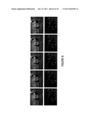 Intermediate View Synthesis and Multi-View Data Signal Extraction diagram and image