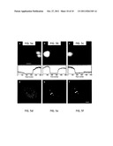 MULTIMODAL PLATFORM FOR NONLINEAR OPTICAL MICROSCOPY AND MICROSPECTROSCOPY diagram and image