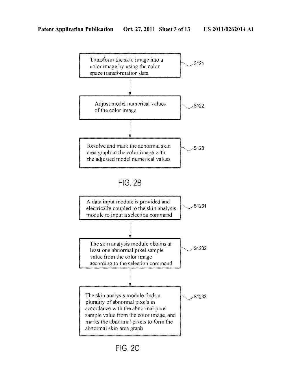 ABNORMAL SKIN AREA CALCULATING SYSTEM AND CALCULATING METHOD THEREOF - diagram, schematic, and image 04