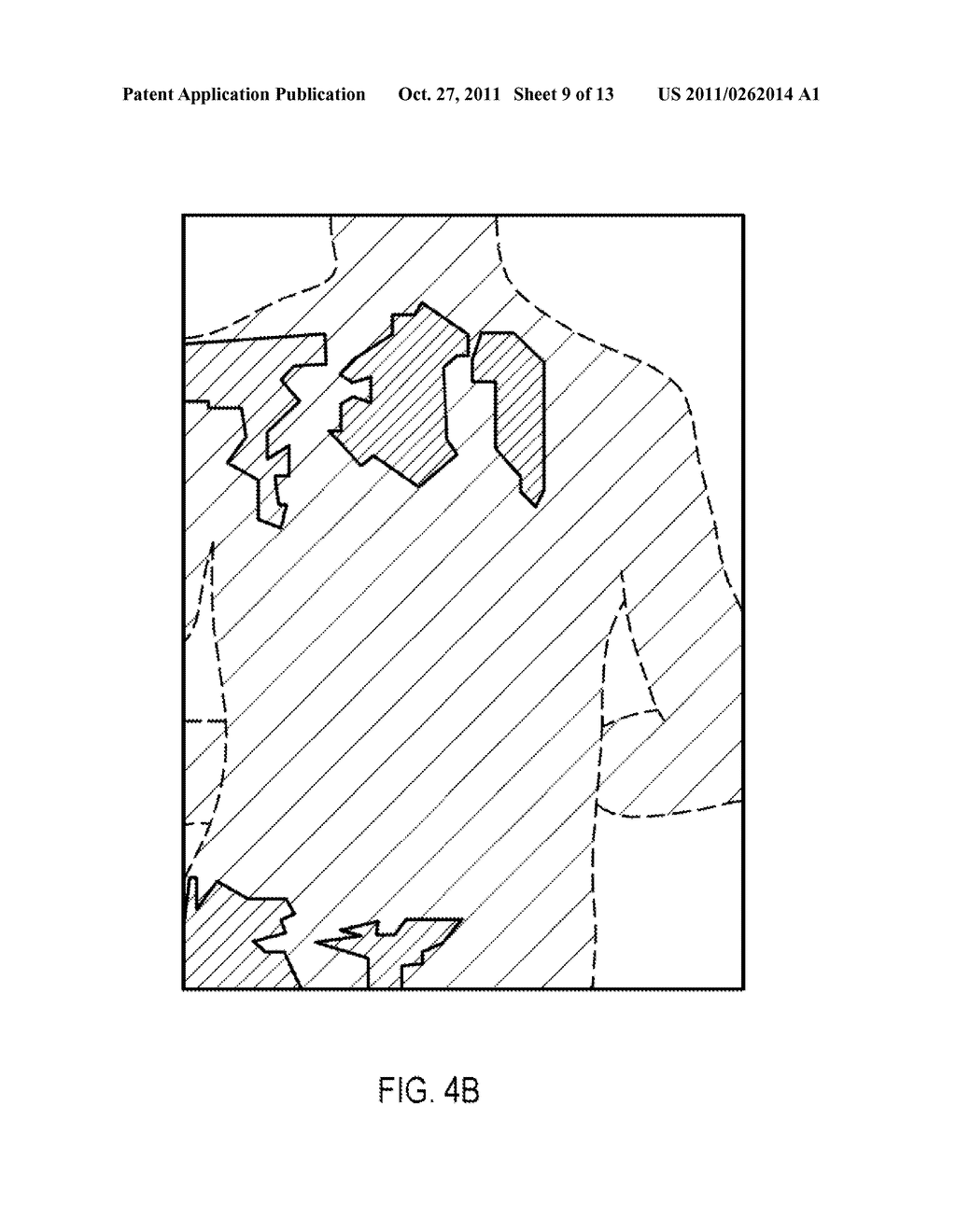 ABNORMAL SKIN AREA CALCULATING SYSTEM AND CALCULATING METHOD THEREOF - diagram, schematic, and image 10