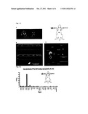 FLUORESCENT SILICA NANOPARTICLE WITH RADIOACTIVE TAG AND THE DETECTING     METHOD OF PET AND FLUORESCENT DUAL IMAGING USING THEREOF diagram and image