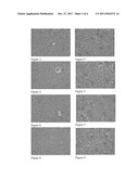 Lactobacillus Fermentum SG-A95 for Improving Oral Bacterial Groups and     Health Care Compositions Thereof diagram and image