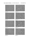 Lactobacillus Fermentum SG-A95 for Improving Oral Bacterial Groups and     Health Care Compositions Thereof diagram and image