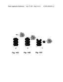 SPECIFICALLY TARGETED CATALYTIC ANTAGONISTS AND USES THEREOF diagram and image