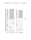 HUMAN TIMP-1 ANTIBODIES diagram and image