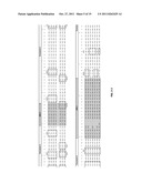 HUMAN TIMP-1 ANTIBODIES diagram and image