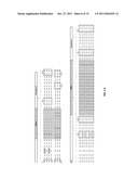 HUMAN TIMP-1 ANTIBODIES diagram and image