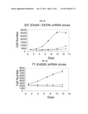 USE OF ERBB4 AS A PROGNOSTIC AND THERAPEUTIC MARKER FOR MELANOMA diagram and image